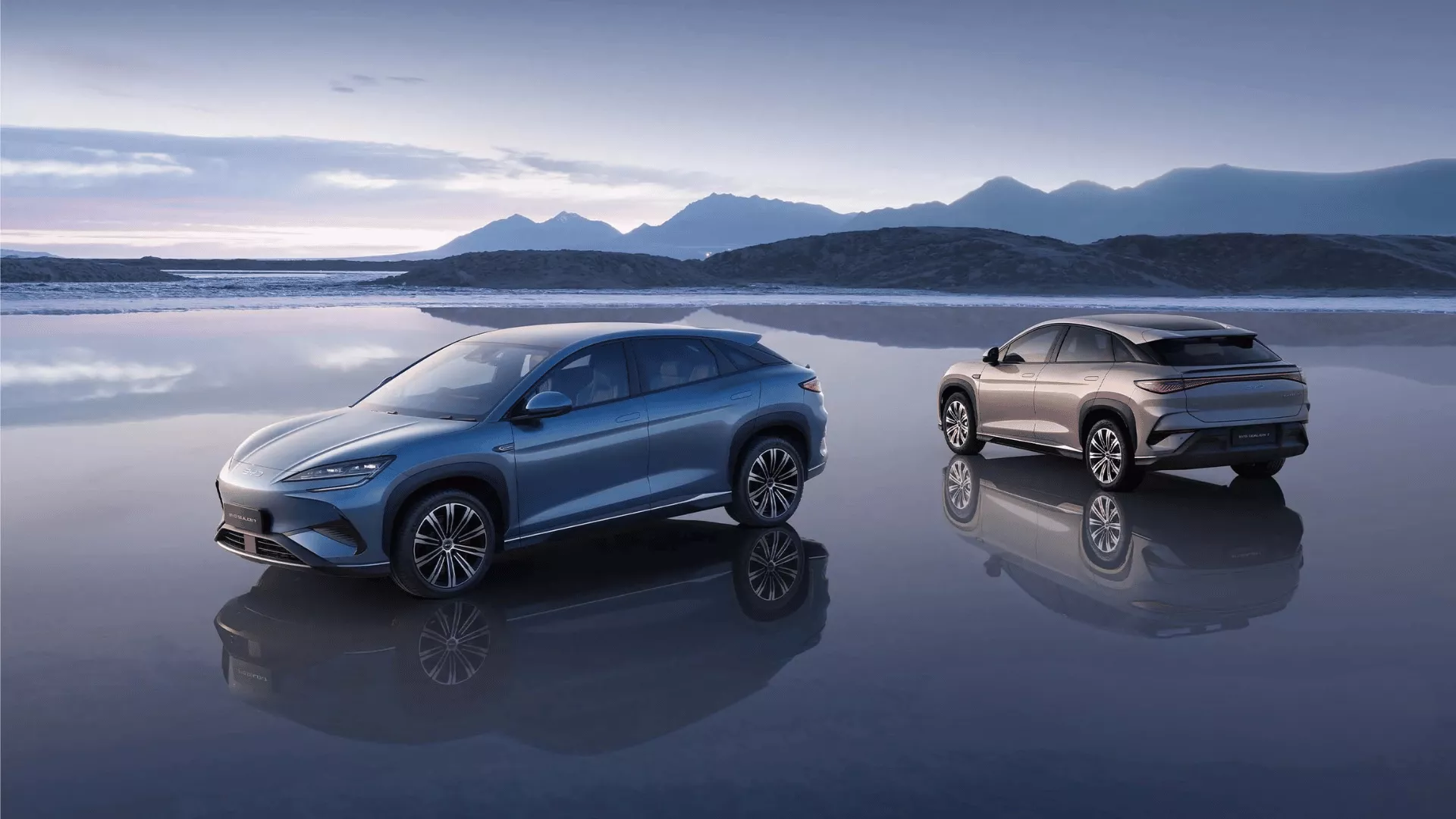 BYD Premium